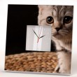 Интерьерные часы  Любопытный котенок